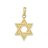 pendentif religieux judaica en or jaune 14 carats avec pendentif étoile de david en satin massif mesurant 16 x 15 mm, métal