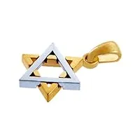 collier pendentif - - 14 ct 585/1000 charm juive - 14 kt deux ton or Étoile de david