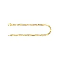 edelind bracelet chaîne figaro en or jaune 585/1000 19 cm,3,1 mm avec fermoir mousqueton - bijoux pour homme