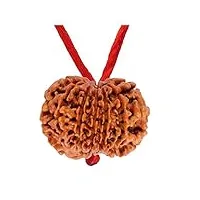 55carat original tweleve face à 12 mukhi nepali rudaraakasha perles pendentifs simples avec fil rouge pour hommes femmes bijoux