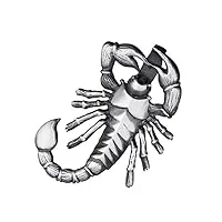 materia pendentif scorpion homme 24 x 43 mm - argent 925 - pour chaînes allant jusqu'à 4 mm - livré avecboîte #ka-62