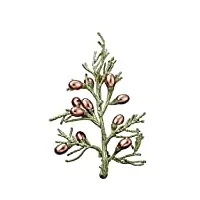 bingdonga broche pin rouge perle corsage femme niche conception sens plante broches accessoires broches mode grand