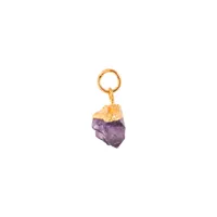house of vincent birth stone february pendentifs 18 ct. brass goldplated vj076-lpg-fa - femme - brass