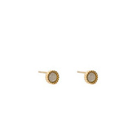 Puces d oreilles