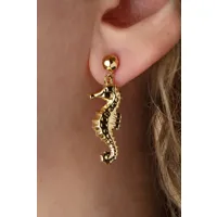 puces d'oreilles hippocampe en plaqué or
